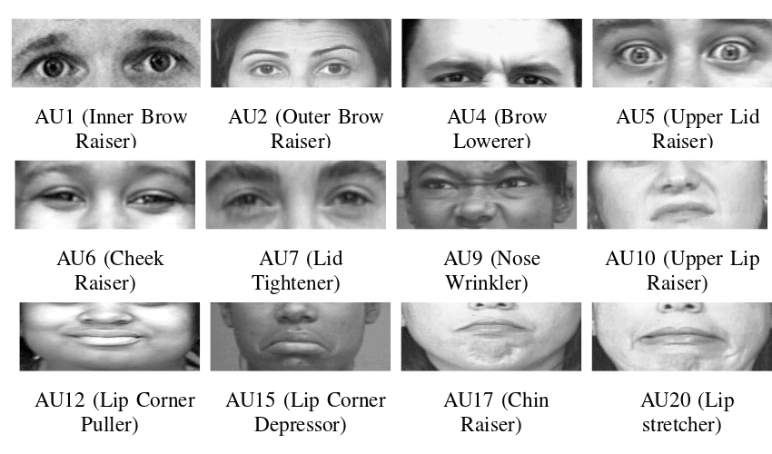 Prosody-Driven Facial Expression Prediction